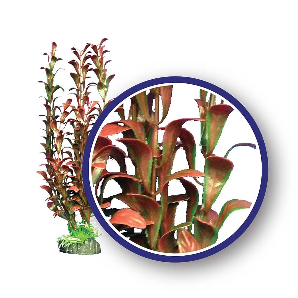 Weco Products Freshwater Series Hygrophilia Aquarium Plant - Red - 9 in  