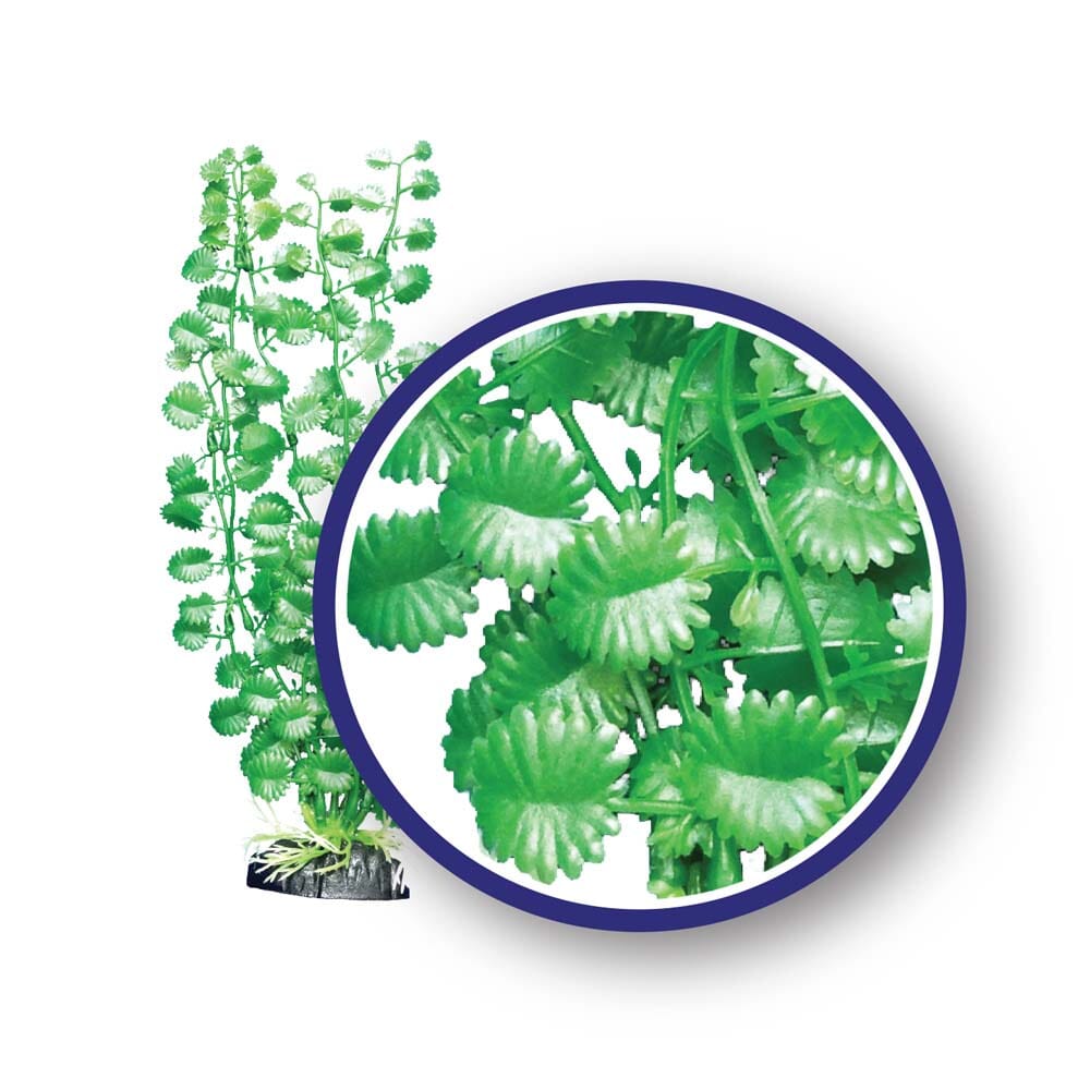 Weco Products Freshwater Series Japanese Cress Aquarium Plant - Green - 12 in