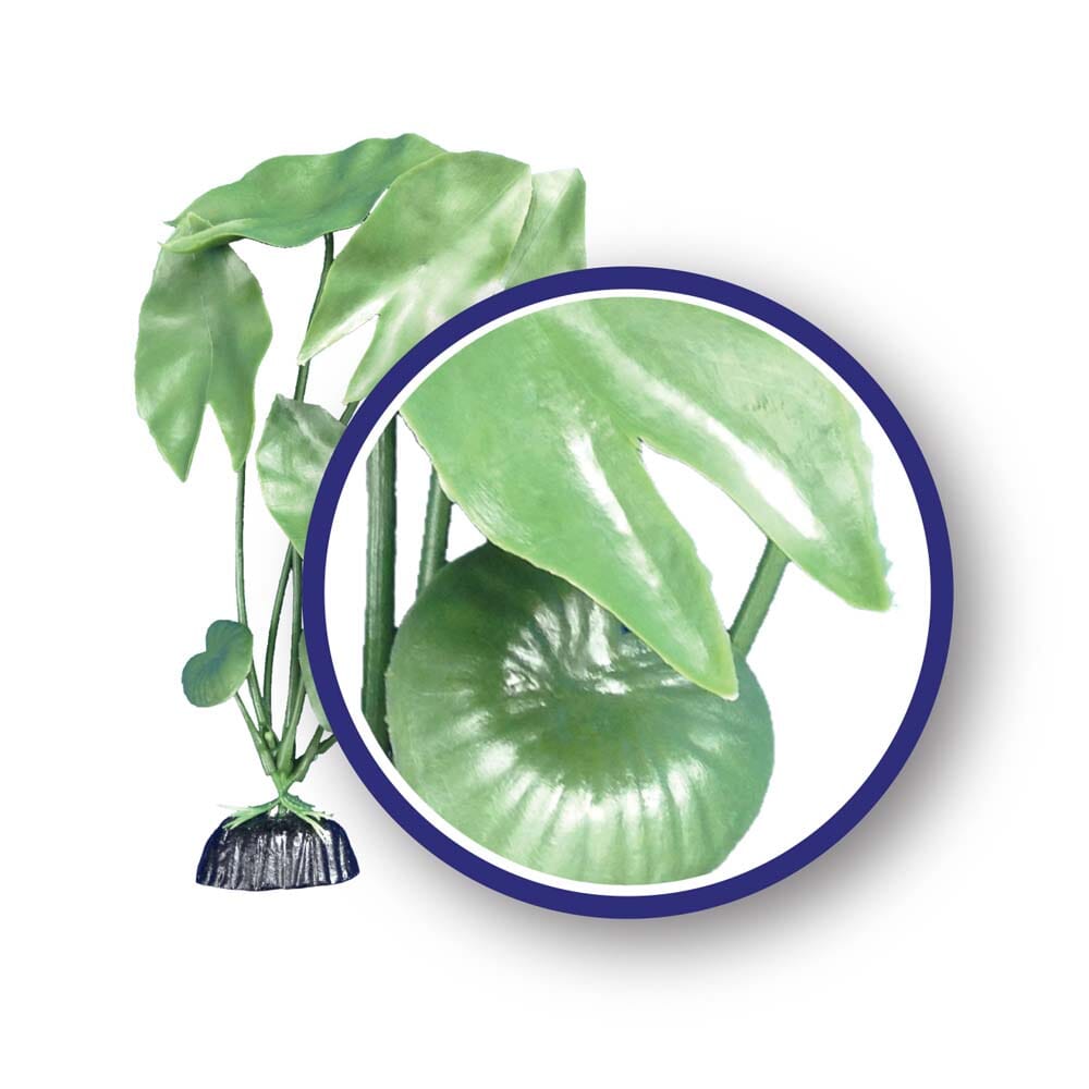 Weco Products Freshwater Series Tiger Lotus Aquarium Plant - Green - 12 in