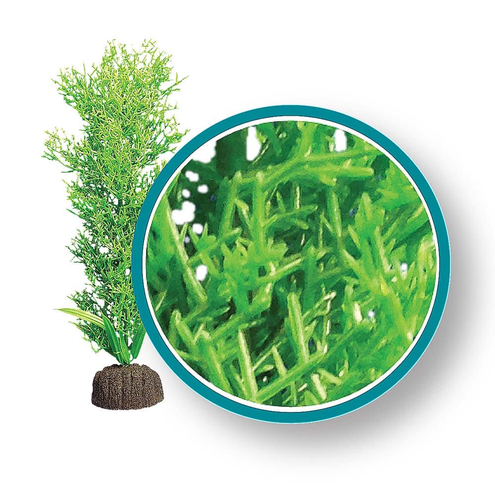 Weco Products Marine Pro Series Bushy Kelp Aquarium Plant - Green - 9 in