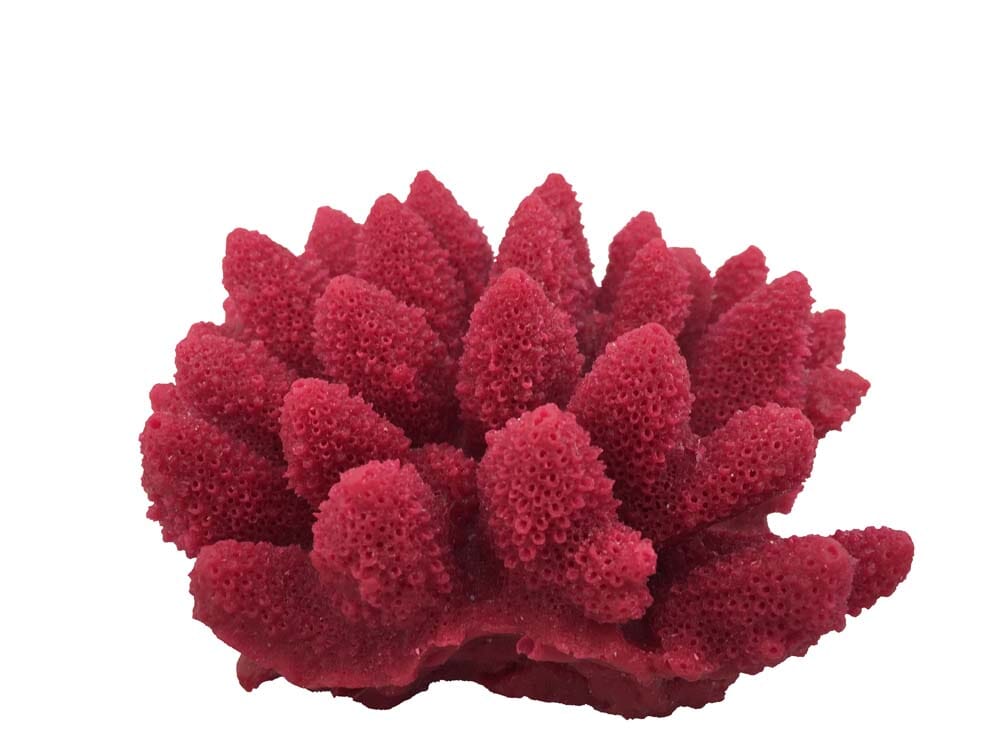 Weco Products South Pacific Coral Acorapora Humilis Ornament - Rose - Small