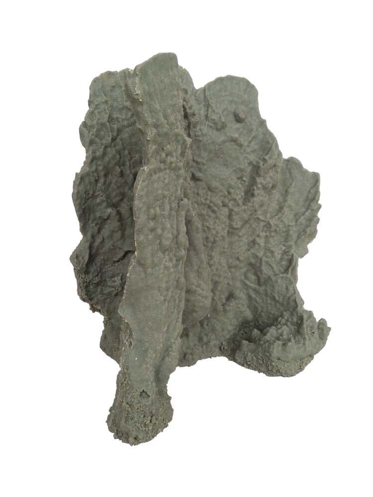 Weco Products South Pacific Coral Blueridge Ornament - Grey - Large