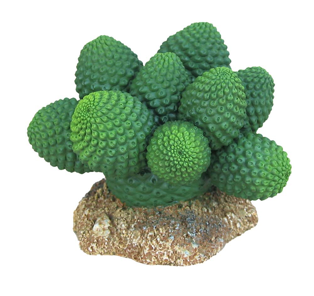 Weco Products Wecorama Badlands Pointed Sonoran Cactus Terrarium Ornament - Brown and Green - 3 in