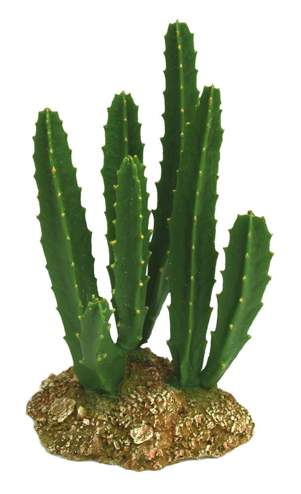 Weco Products Wecorama Badlands Zulu Cactus Terrarium Ornament - Brown and Green - Giant