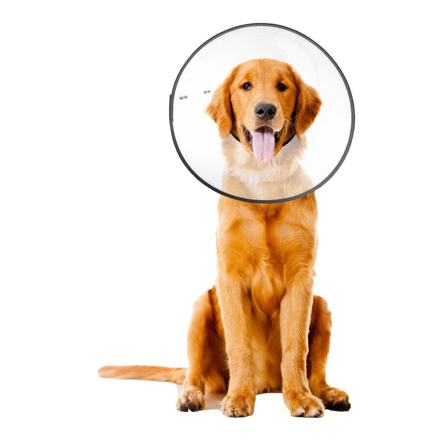 ZenPet E-Clear Plastic Recovery Collar - Large