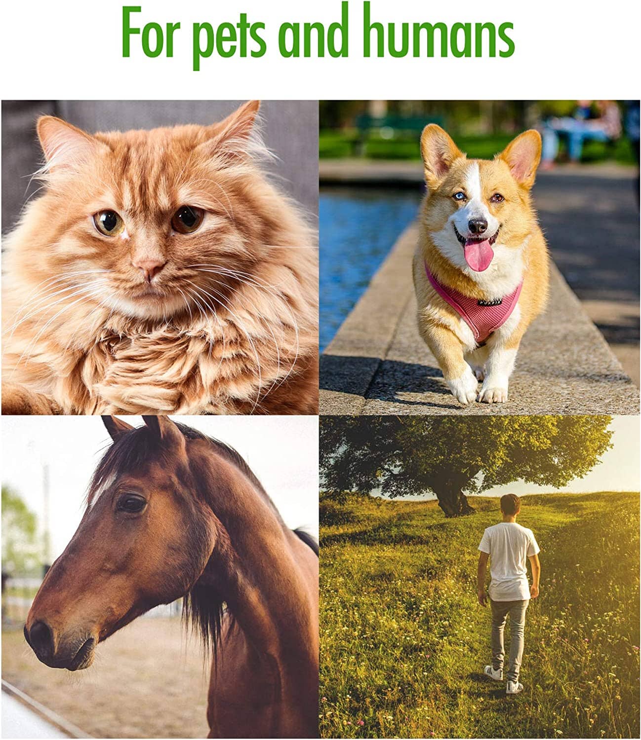 ZenPet Tick Tornado Tick Remover Tool - One Size