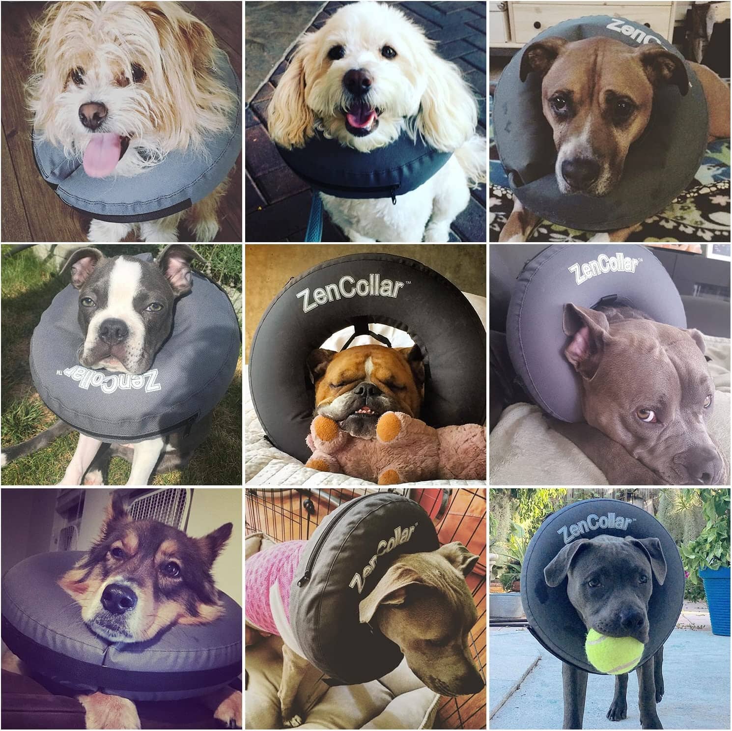 ZenPet ZenCollar Inflatable Recovery Collar - 2XL