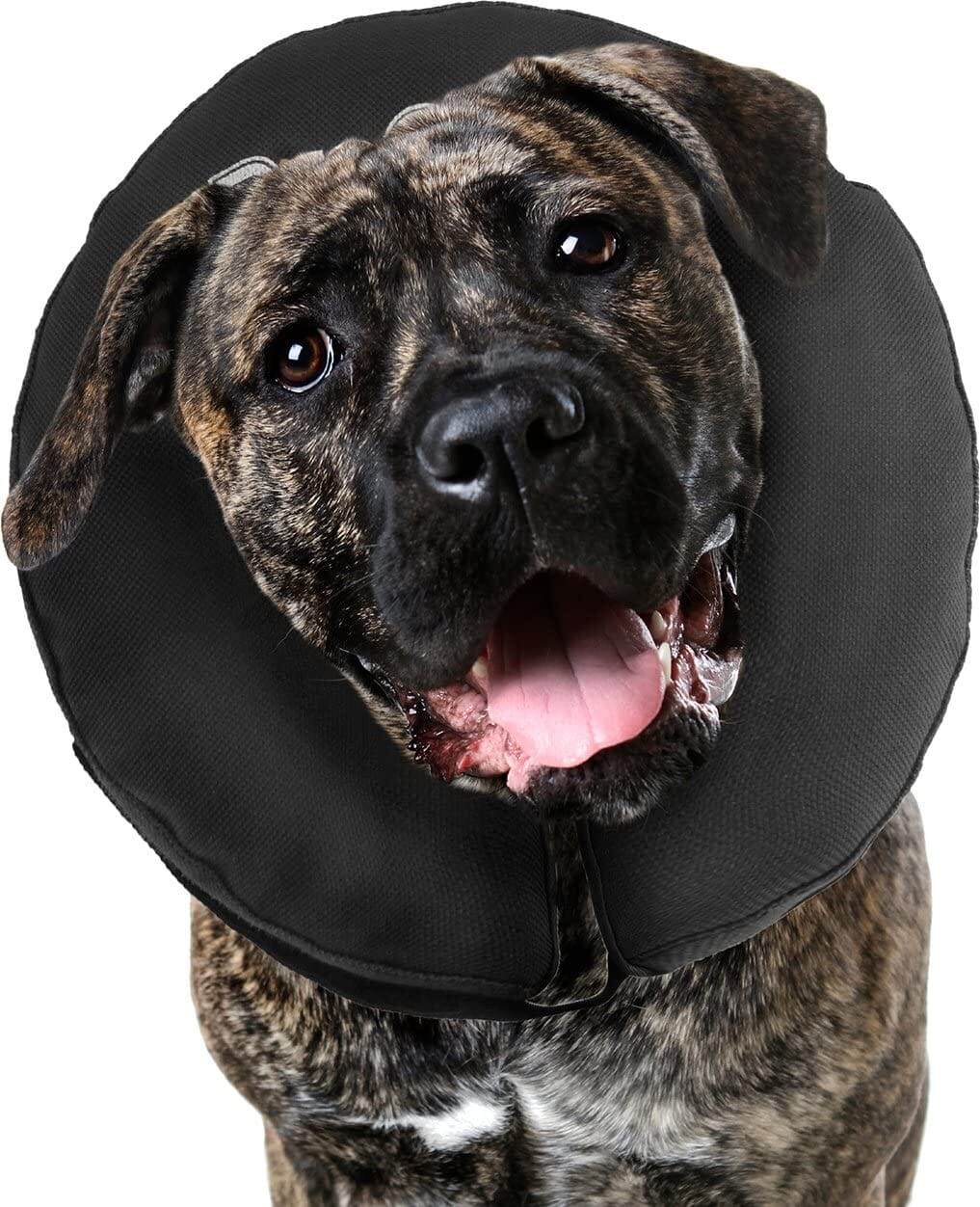 ZenPet ZenCollar Inflatable Recovery Collar - 2XL