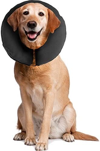 ZenPet ZenCollar Inflatable Recovery Collar - Extra Large
