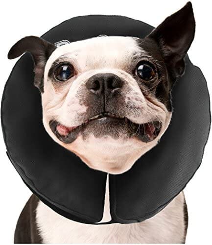 ZenPet ZenCollar Inflatable Recovery Collar - Medium