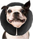 ZenPet ZenCollar Inflatable Recovery Collar - Medium