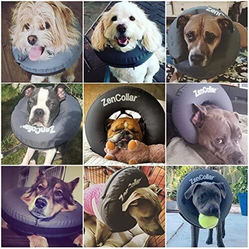 ZenPet ZenCollar Inflatable Recovery Collar - Small