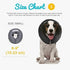 ZenPet ZenCollar Inflatable Recovery Collar - Small