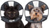 ZenPet ZenCone Soft Recovery Collar - Small