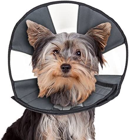 ZenPet ZenCone Soft Recovery Collar - Small