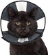 ZenPet ZenCone Soft Recovery Collar - Small