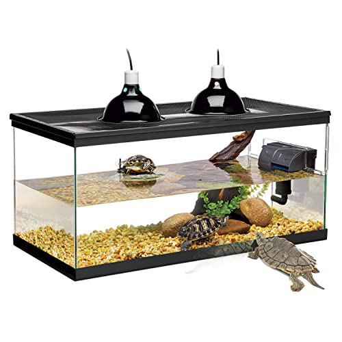 star turtle tank setup