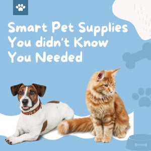Smart Pet Supplies You Didn't Know You Needed