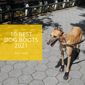 10 Best Dog Boots 2021: Buyer's Guide