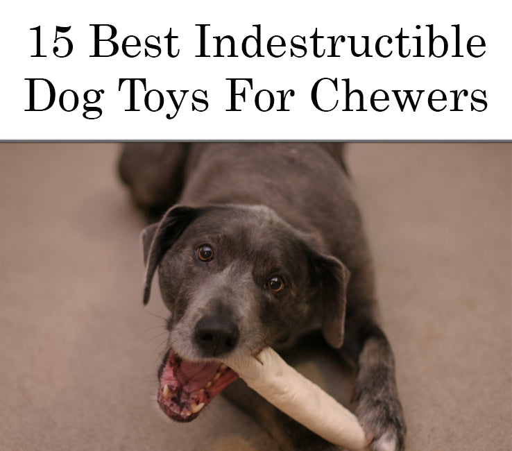 durable dog toys