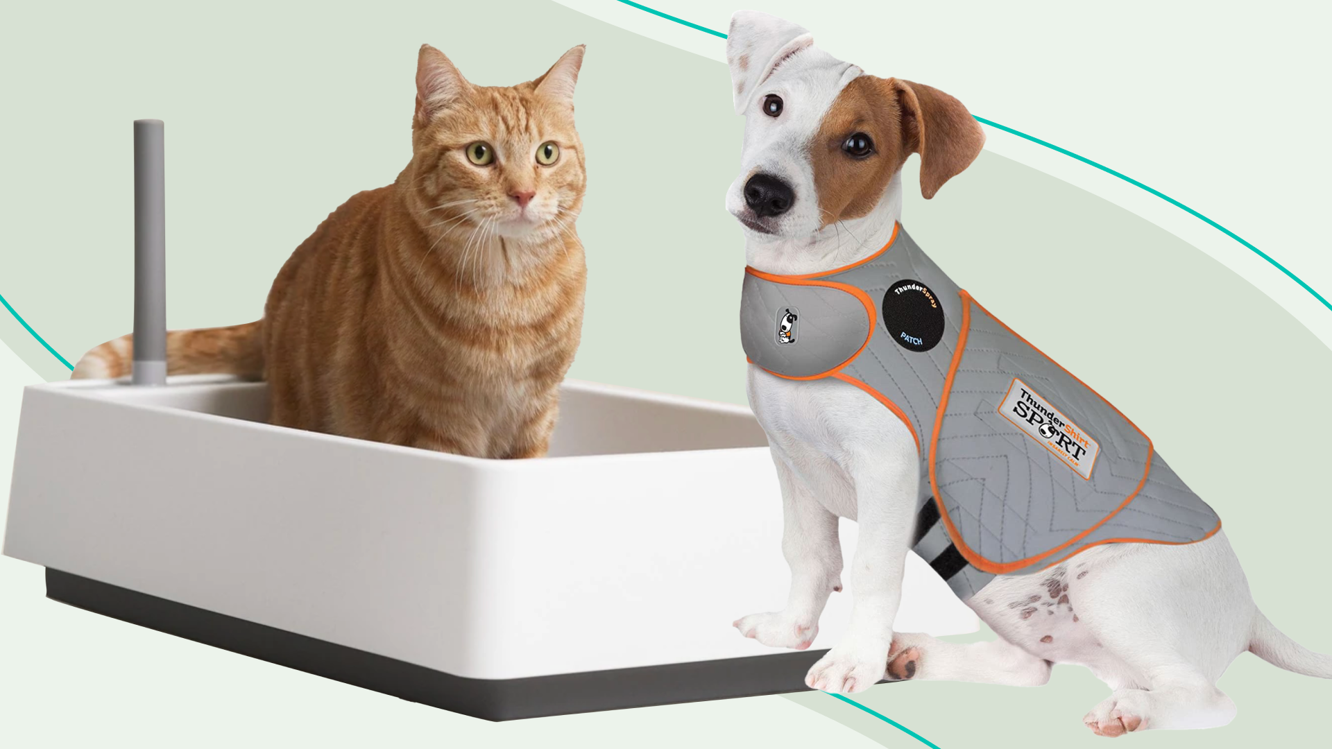 The Ultimate Guide to Different Types of Products for Dogs and Cats