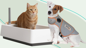 The Ultimate Guide to Different Types of Products for Dogs and Cats