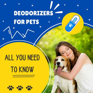 Deodorizers For Pets: All You Need To Know