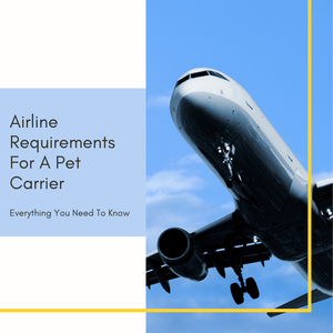 Airline Requirements For A Pet Carrier: Everything You Need To Know