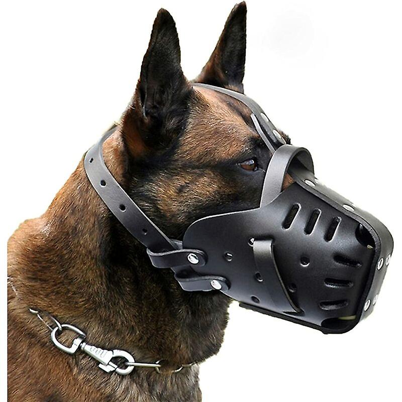 Socket Guards Dogs Handling Pet Aggression Towards Other Animals – Pet Life