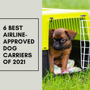 6 Best Airline-Approved Dog Carriers of 2021