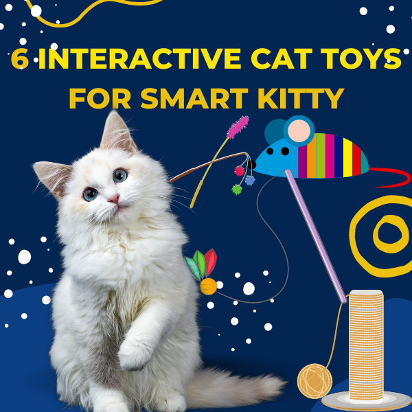 6 Interactive cat toys for smart kitty