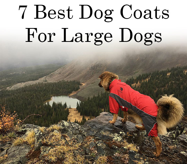 Large dog coats