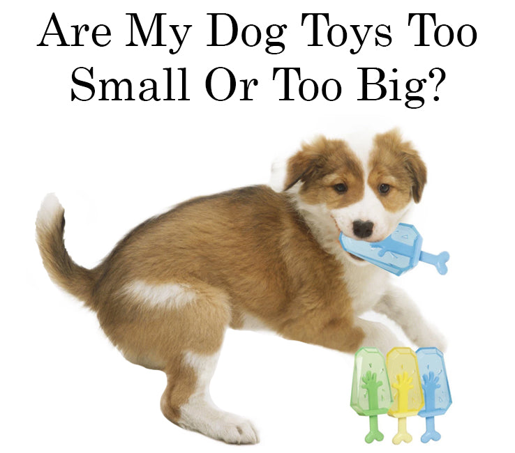 cool dog toys