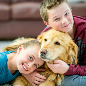 How to deal with pet allergies in children
