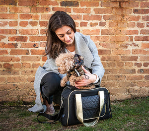 Essential Items Every New Dog Owner Should Get