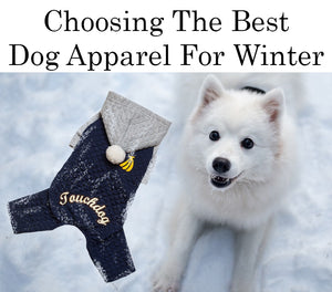 Best Dog Apparel For Winter