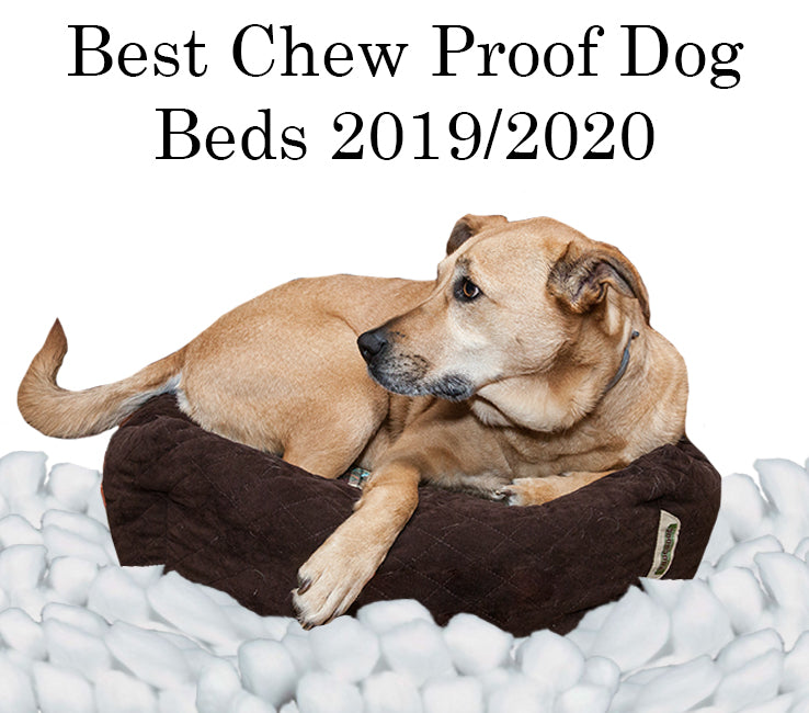 Best Chew Proof Dog Beds