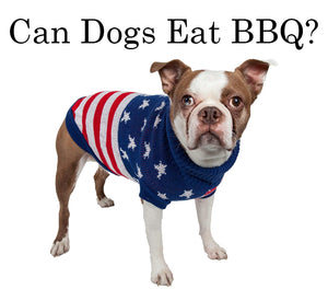Fourth of July | Can Dogs Eat Barbeque?