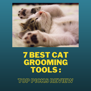 7 Best Cat Grooming Tools: Top Picks Review