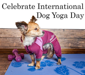 Celebrate International Yoga Day!