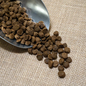 How to choose the right pet food for your pet