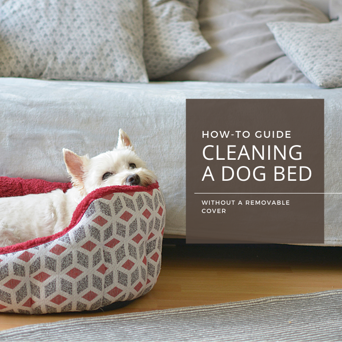 How-to Guide: Cleaning A Dog Bed Without A Removable Cover