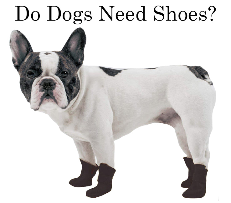 Dog Shoes and dog boots