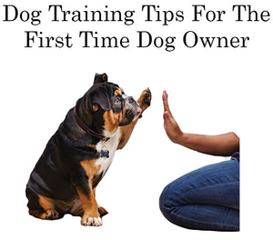 Dog Training Tips For The First Time Dog Owner
