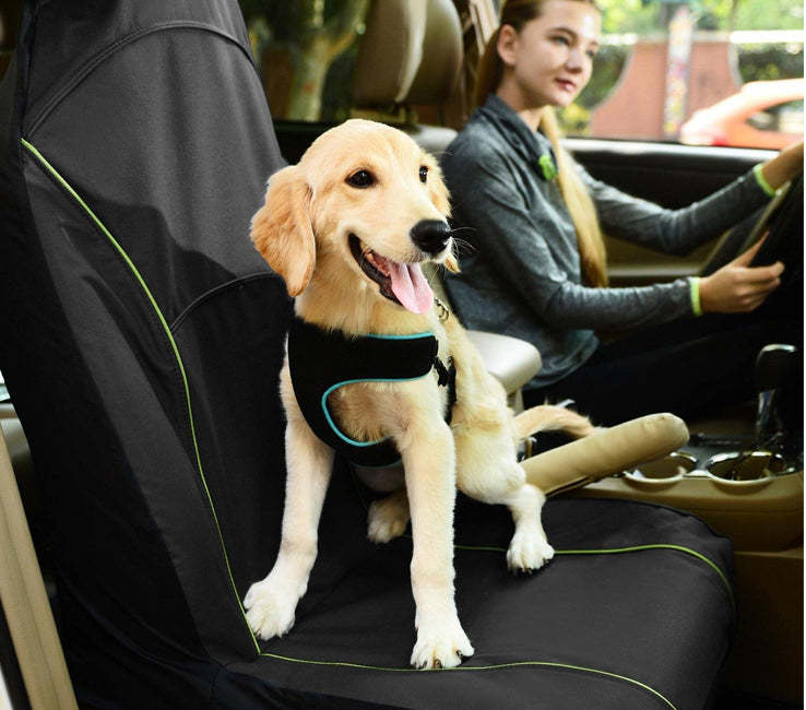 Dog Carseat protector