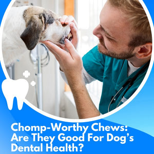 Chomp-Worthy Chews: Are They Good For Dog's Dental Health?