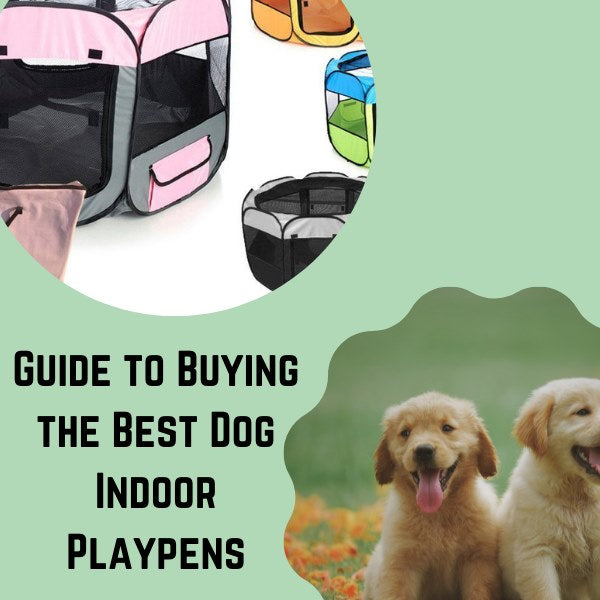 Guide to buying the best dog indoor playpens