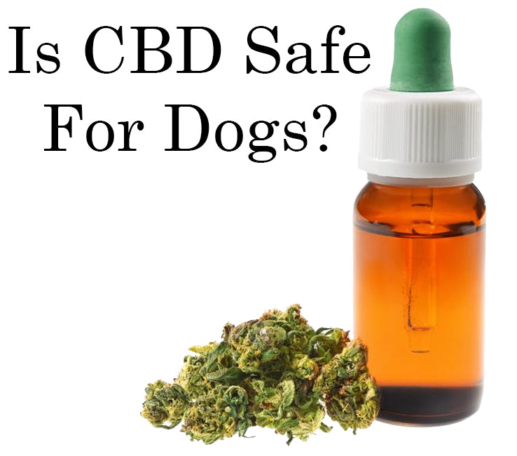 CBD for dogs safe