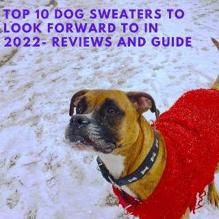 top 10 dog sweaters to look forward to in 2022: reviews and guide