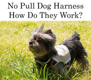 No Pull Dog Harness: How Do They Work?